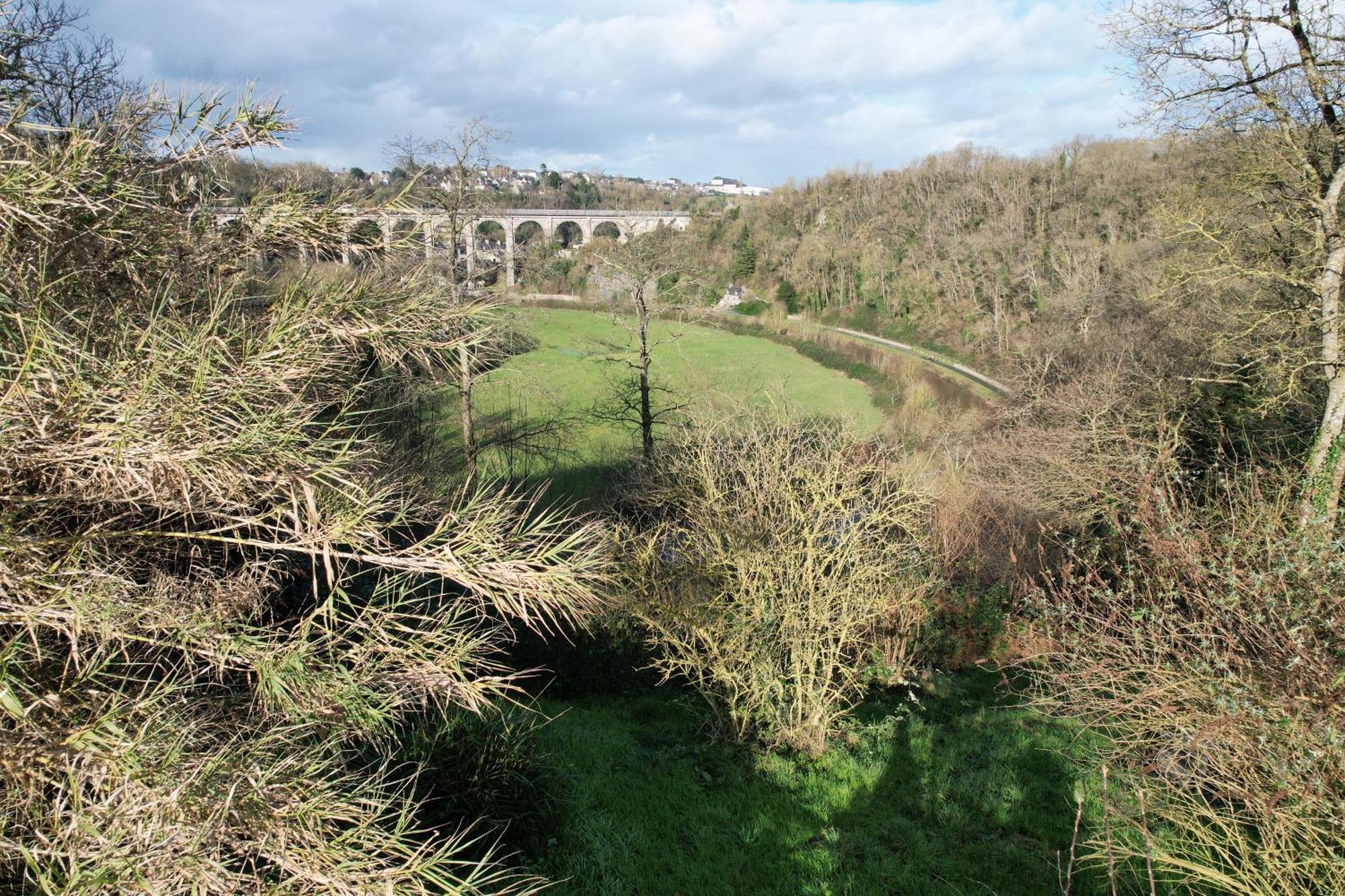 O Bois Dormant- Studio Vue Rance River Et Viaduc De Dinan Lanvallay Eksteriør billede