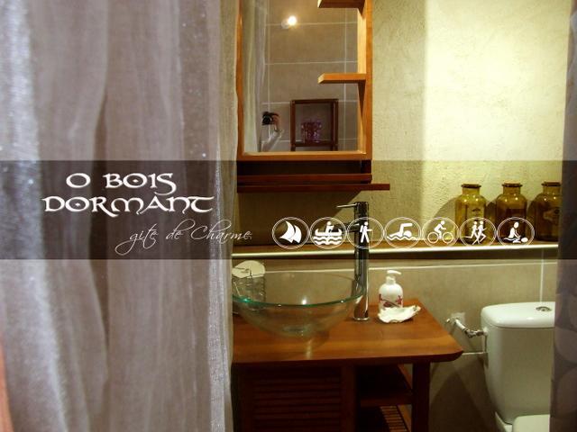 O Bois Dormant- Studio Vue Rance River Et Viaduc De Dinan Lanvallay Eksteriør billede